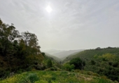 Chalet independiente con terreno en venta en la España, Málaga, ref: TR161606 foto