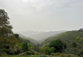 Chalet independiente con terreno en venta en la España, Málaga, ref: TR161606 foto