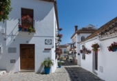 Chalet independiente con terreno en venta en la España, Estepona, ref: TR239301 foto
