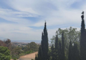 Xalet independent amb terreny en venda a la España, Benalmádena, ref.: TR244020 foto