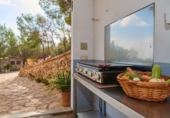 Detached villa with land for sale on España, Manacor, ref: TR150437 photo