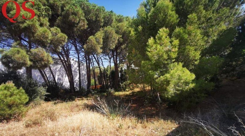 Gerona - l'Escala - 770m2