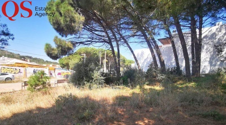 Gerona - l'Escala - 770m2