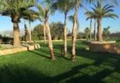 Chalet independiente con terreno en venta en la España, Pedreguer, ref: TR243304 foto