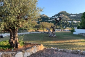 Foto 9