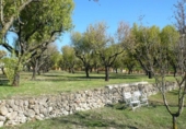 Chalet independiente con terreno en venta en la España, Pedreguer, ref: TR243304 foto