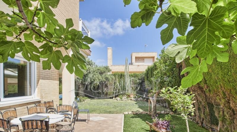 Alicante - Alicante - 900m2