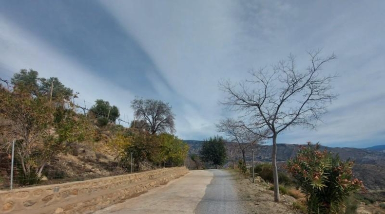 Granada - Ugíjar - 50000m2