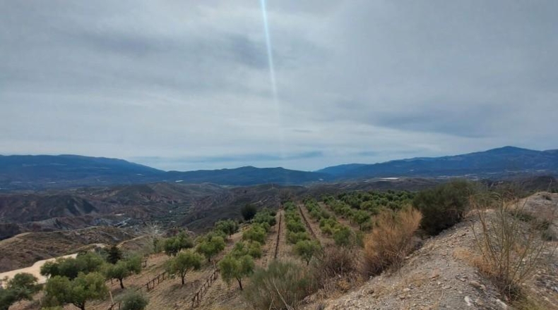 Granada - Ugíjar - 50000m2