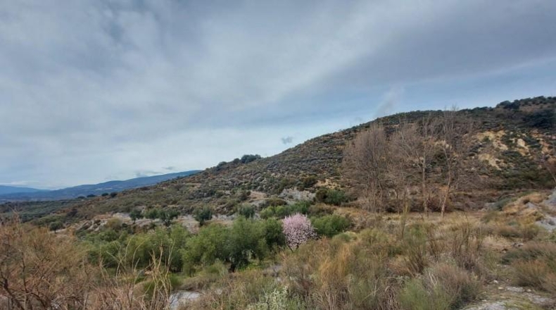 Granada - Ugíjar - 50000m2