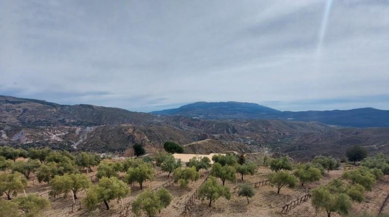 Granada - Ugíjar - 50000m2