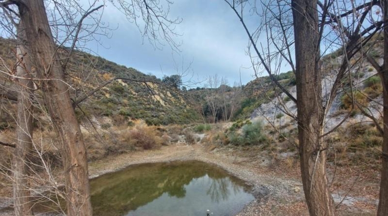 Granada - Ugíjar - 50000m2