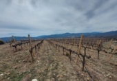 Chalet independiente con terreno en venta en la España, Ugíjar, ref: TR144531 foto