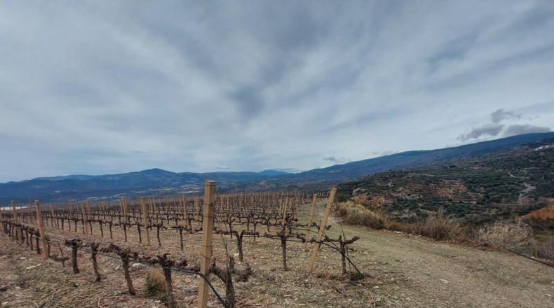 Granada - Ugíjar - 50000m2