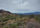 Chalet independiente con terreno en venta en la España, Ugíjar, ref: TR144531 foto