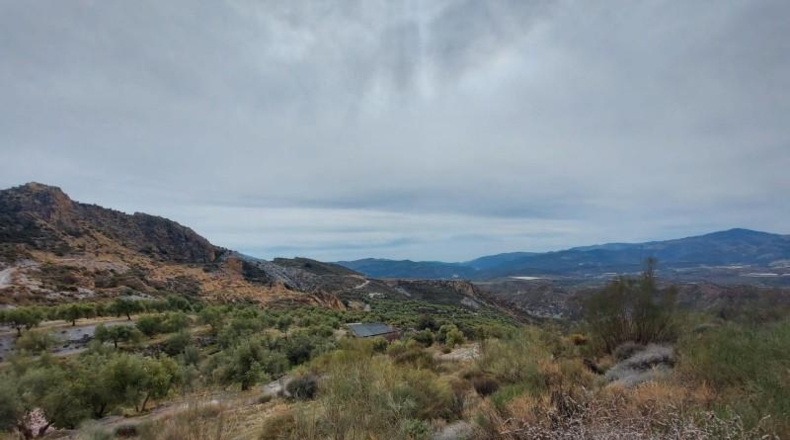 Granada - Ugíjar - 50000m2