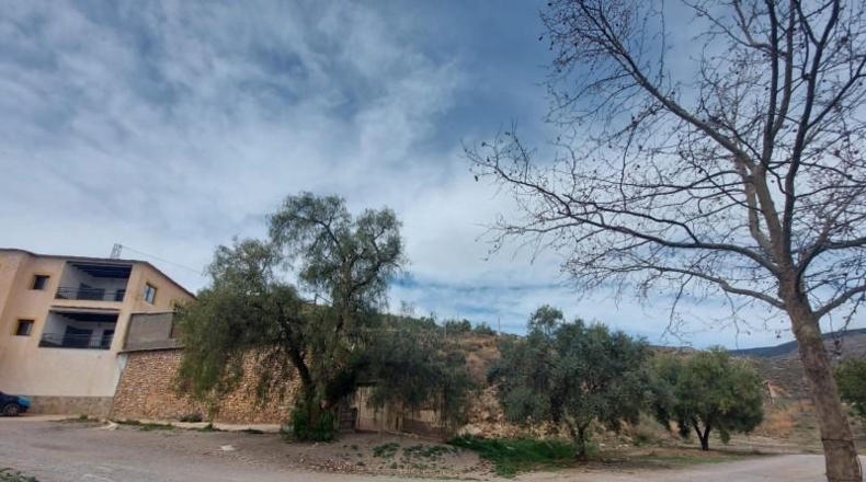 Granada - Ugíjar - 50000m2