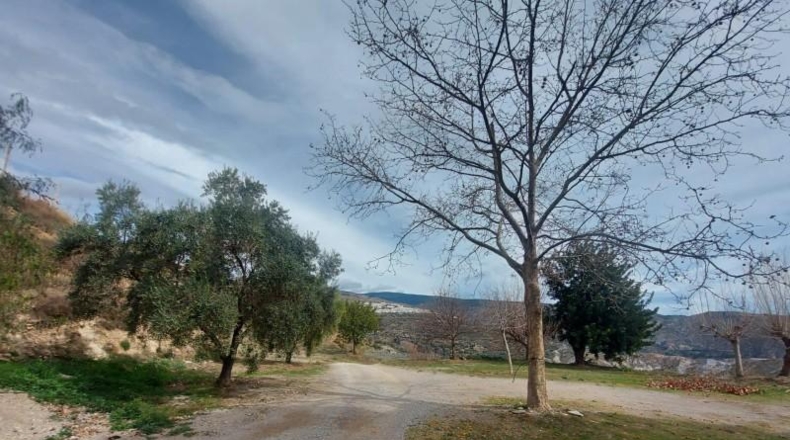 Granada - Ugíjar - 50000m2