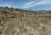Chalet independiente con terreno en venta en la España, Ugíjar, ref: TR144531 foto