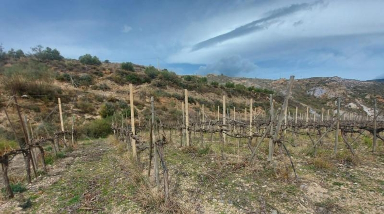 Granada - Ugíjar - 50000m2