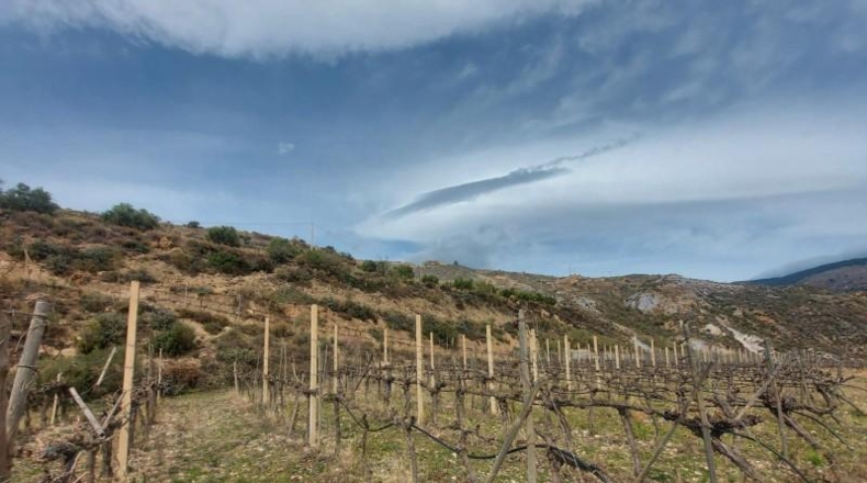 Granada - Ugíjar - 50000m2