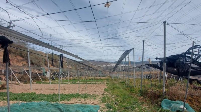 Granada - Ugíjar - 50000m2