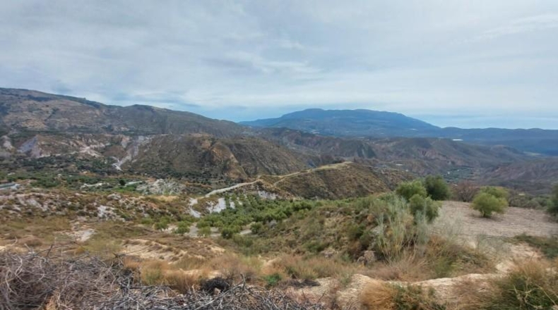 Granada - Ugíjar - 50000m2