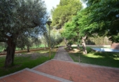 Chalet independiente con terreno en venta en la España, Vinaròs, ref: TR165221 foto