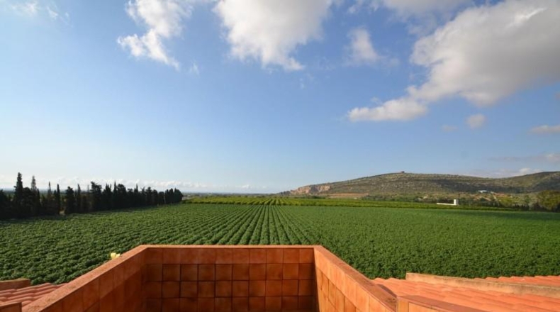 Castellón - Vinaròs - 188836m2