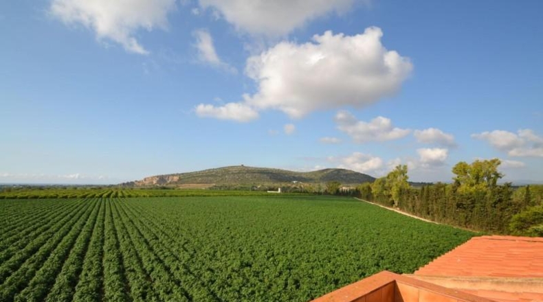 Castellón - Vinaròs - 188836m2
