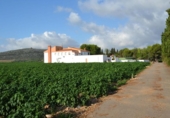 Chalet independiente con terreno en venta en la España, Vinaròs, ref: TR165221 foto