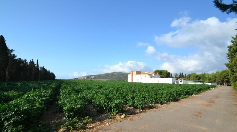 Castellón - Vinaròs - 188836m2