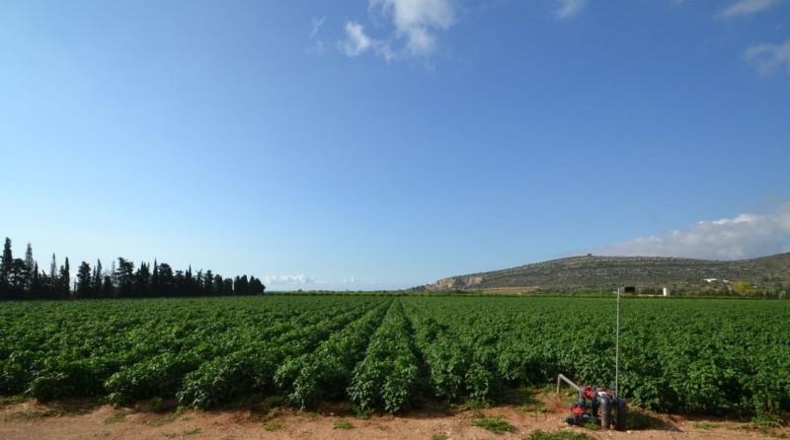 Castellón - Vinaròs - 188836m2