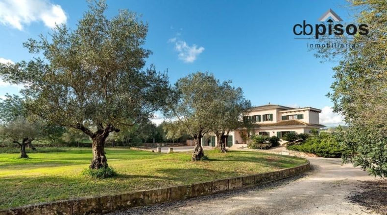Balearic Islands - Algaida - 15921m2