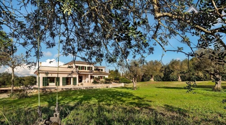 Balearic Islands - Algaida - 15921m2