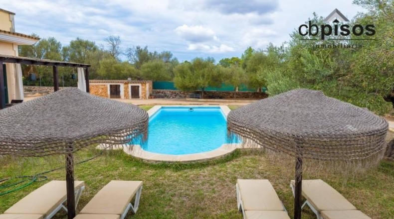 Balearic Islands - Algaida - 15921m2