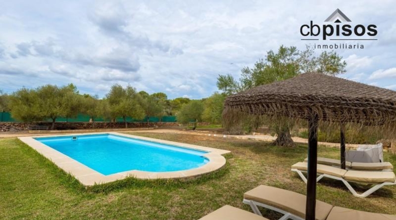 Balearic Islands - Algaida - 15921m2