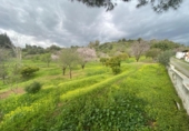 Casa de campo con terreno en venta en la España, Estepona, ref: TR157528 foto