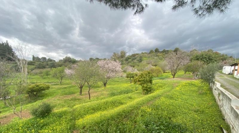 Málaga - Estepona - 60m2
