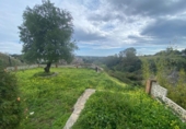 Casa de campo con terreno en venta en la España, Estepona, ref: TR157528 foto