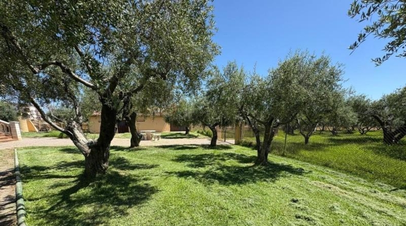 Tarragona - Torredembarra - 5350m2