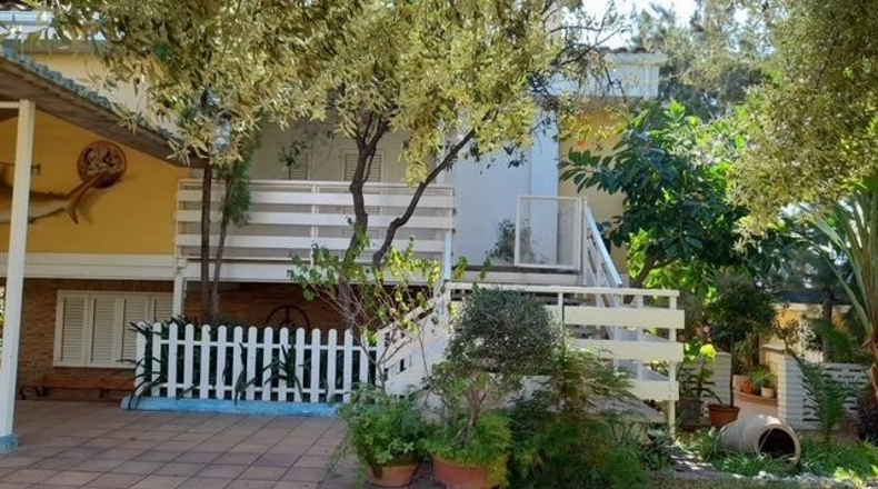 Castellon - Benicasim - 1227m2