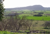 Country house with land for sale on España, Sineu, ref: TR384208 photo