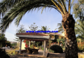 Casa de campo con terreno en venta en la España, L'Alfàs del Pi, ref: TR133853 foto
