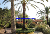 Casa de campo con terreno en venta en la España, L'Alfàs del Pi, ref: TR133853 foto