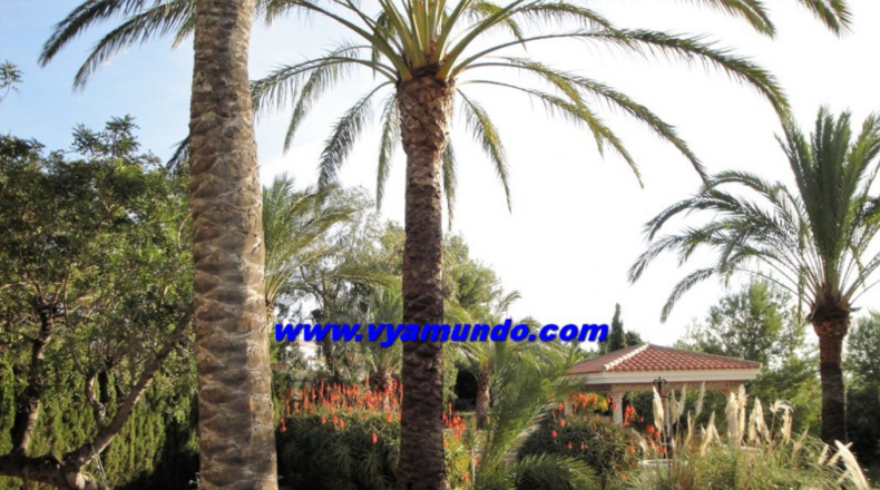 Alicante - Alfaz del Pi - 7998m2