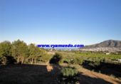 Casa de campo con terreno en venta en la España, L'Alfàs del Pi, ref: TR133853 foto