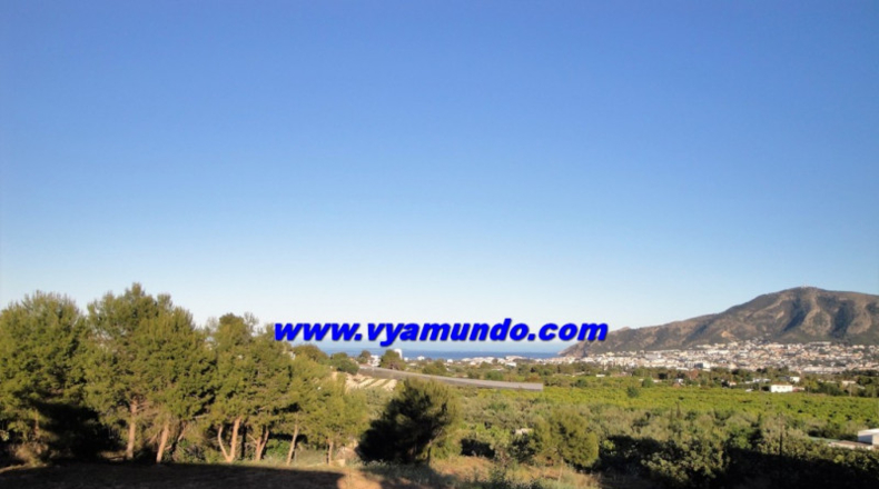 Alicante - Alfaz del Pi - 7998m2