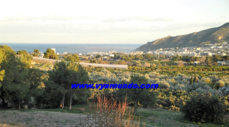 Alicante - Alfaz del Pi - 7998m2