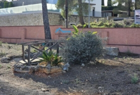 Foto 6